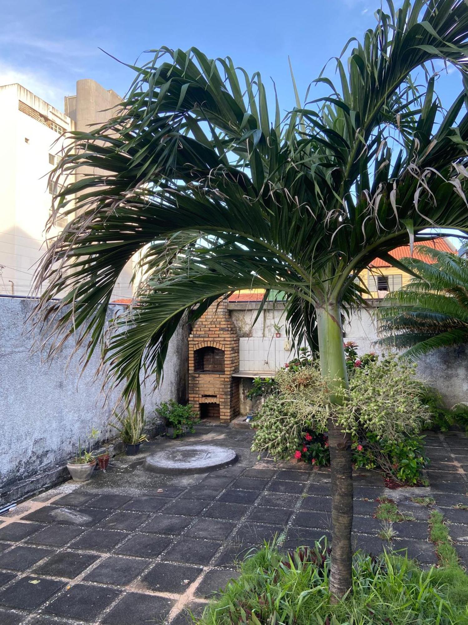 Apto Exclusivo, 200M Da Praia, Horario Flexivel 24 Horas Fortaleza (Ceara) Exterior foto